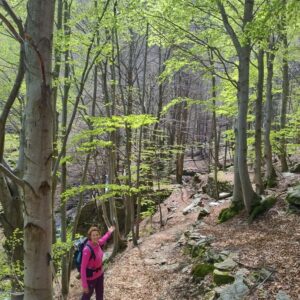 ESCURSIONE alpette, escursione alto canavese, trekking alpette, camminare sentieri alpette, pont canavese, alpette, anello pont alpette, camminare pont canavese, escursione pont alpette, trekking pont canavese, sentieri pont alpette, cati ti racconta, musrai, camminare alpette musrsai