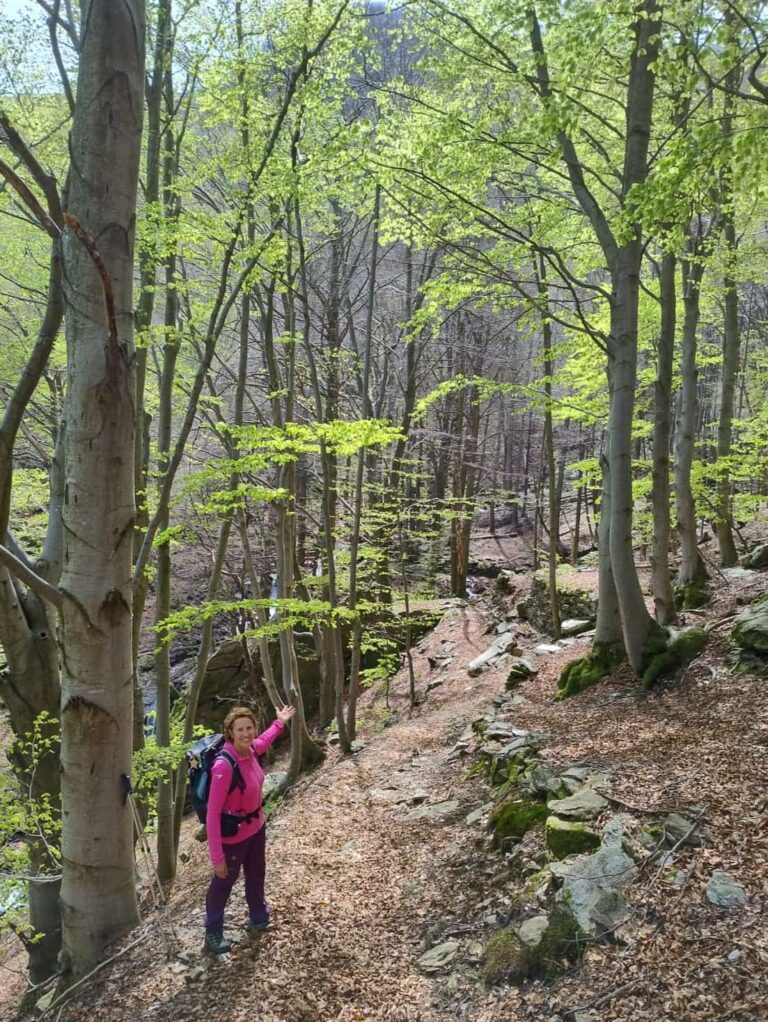 ESCURSIONE alpette, escursione alto canavese, trekking alpette, camminare sentieri alpette, pont canavese, alpette, anello pont alpette, camminare pont canavese, escursione pont alpette, trekking pont canavese, sentieri pont alpette, cati ti racconta, musrai, camminare alpette musrsai