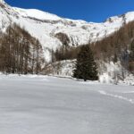 WhatsApp Image 2025-01-29 at 13.33.30