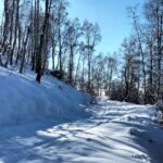 WhatsApp Image 2026-01-26 at 17.53.02