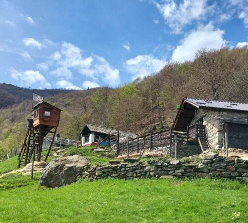 ESCURSIONE alpette, escursione alto canavese, trekking alpette, camminare sentieri alpette, pont canavese, alpette, anello pont alpette, camminare pont canavese, escursione pont alpette, trekking pont canavese, sentieri pont alpette, cati ti racconta, musrai, camminare alpette musrsai