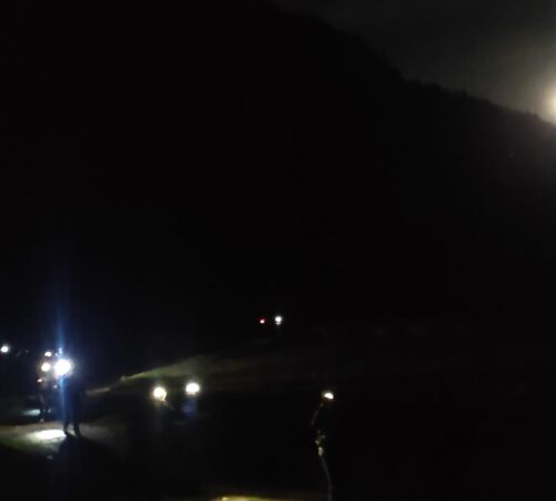 volpe, selvatici valle soana, Piamprato, escursione valle soana, escursione luna piena, escursione notturna, escursione serale, luna piena