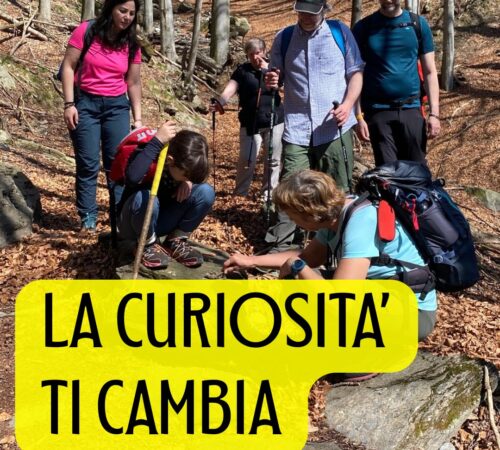 CATI TI RACCONTA, GUIDA AMBIENTALE ESCURSIONISTICA, VALLE SOANA, CAMMINARE IN VALLE SOANA, SENTIERI VALLE SOANA, SENTIERI PONT CANAVESE, ESCURSIONI CANAVESE, ESCURSIONI GUIDATE, ESCURSIONI PROVINCIA TORINO, ESCURSIONI CANAVESE, CAMMINARE FA BENE,